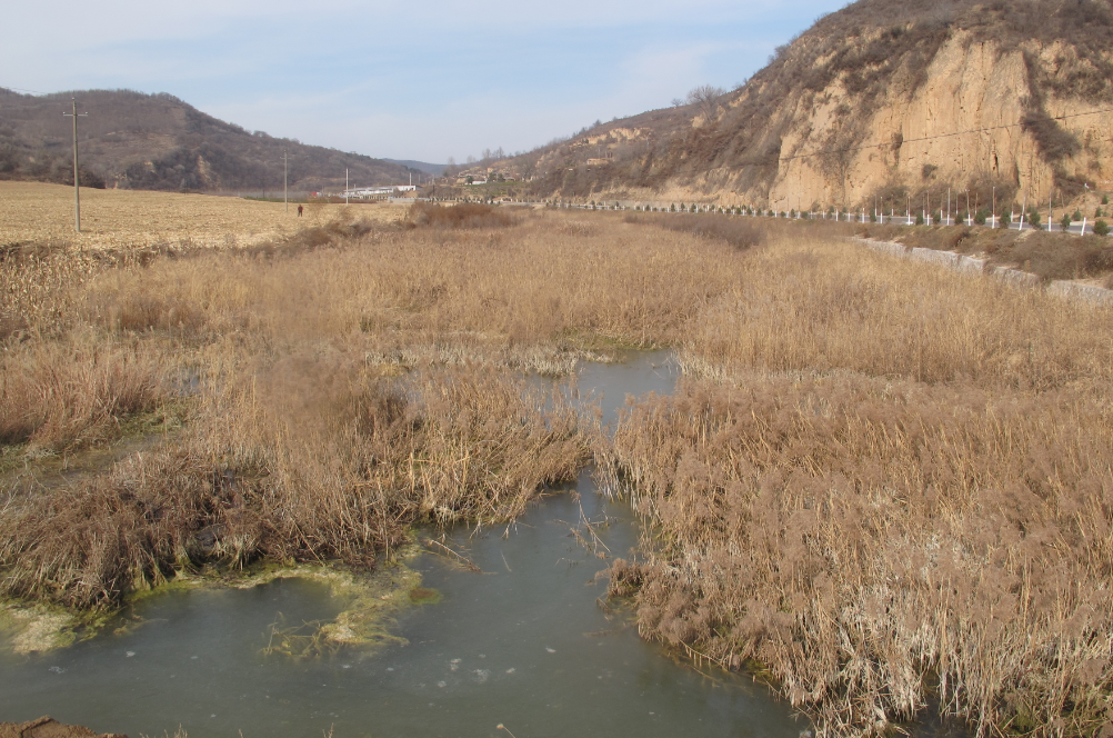 191621394135102467.png 191621394135102467.png