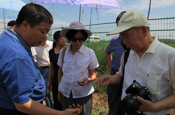 271622112981258341.png 8.png