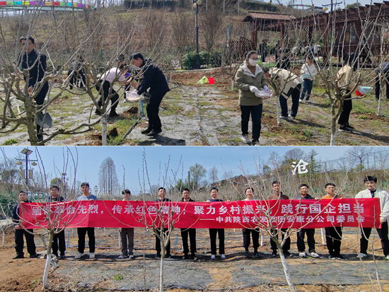 221742636235323643.png 新建 PPTX 演示文稿(1).png