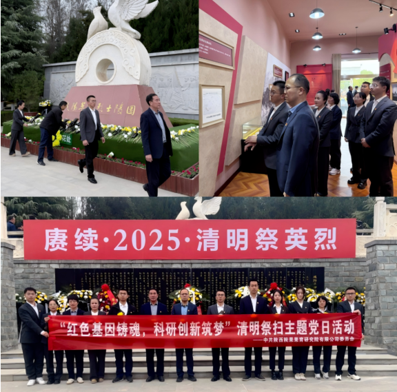 071743990290103573.png image.png