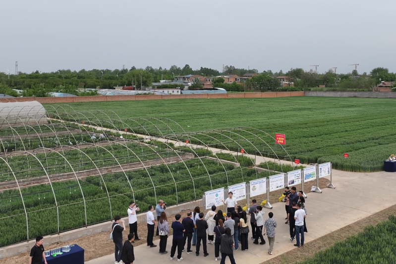 251745569185190966.png 圖片2.png