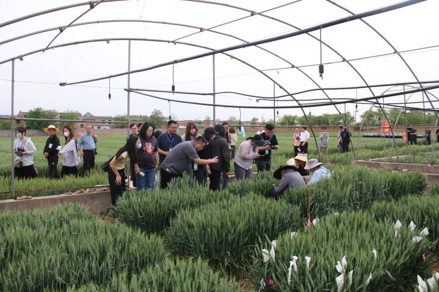 251745569441143479.png 圖片4.png