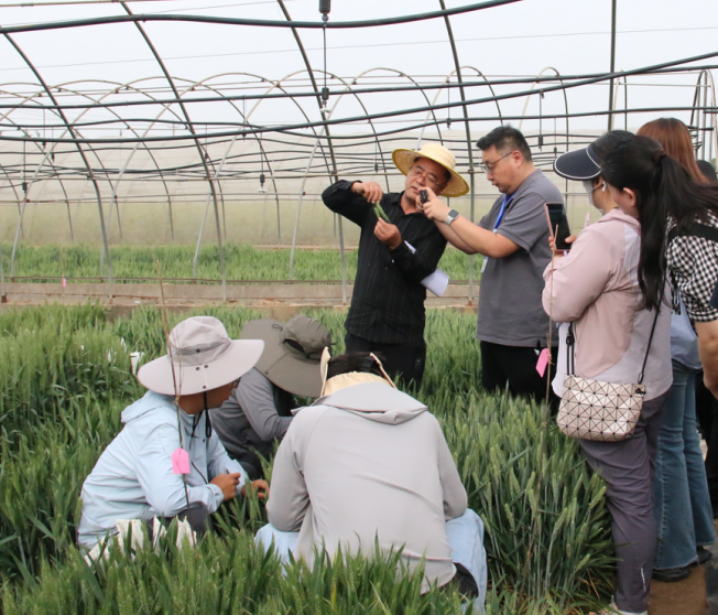 251745569450241254.png 圖片5.png