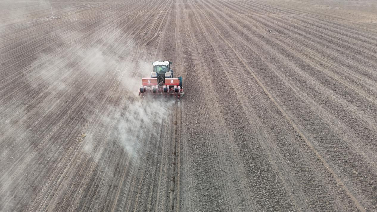 291745914444203693.png 4.png