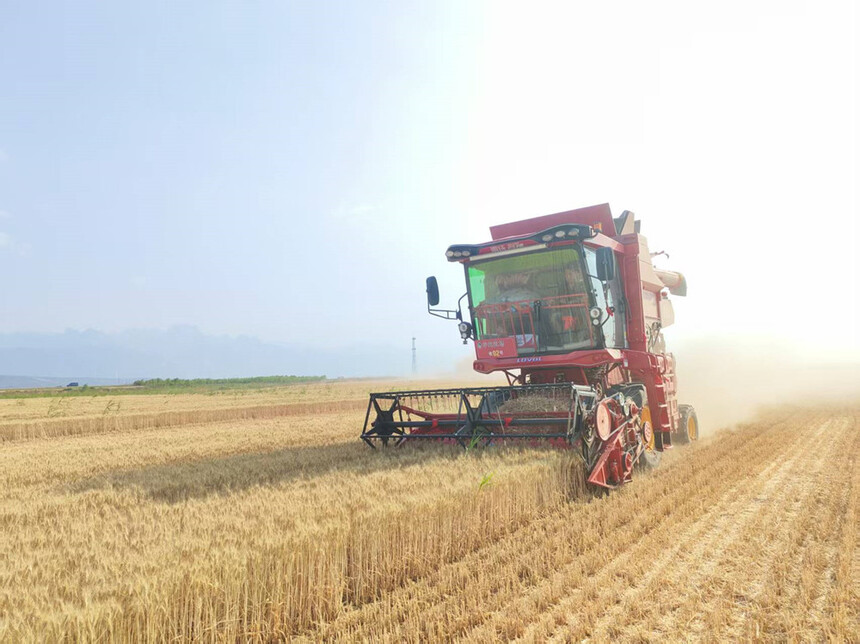 291748486051174225.jpg 94b8978420575b1507675b5ecdf3f664_1748485279826546.jpg