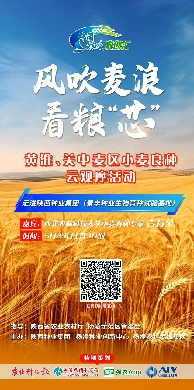 301748598530103597.jpg 微信圖片_20250530165529.jpg