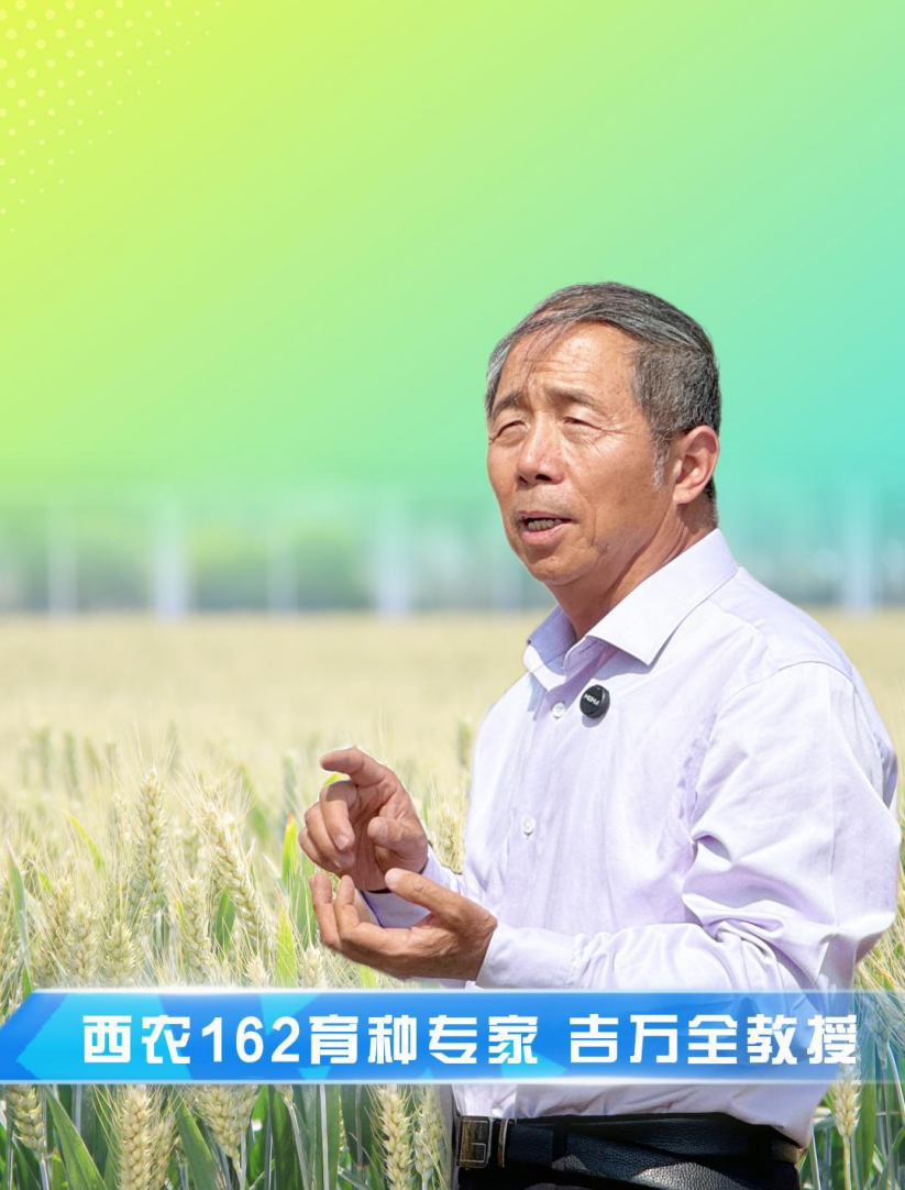 301748598542191297.png 圖片2.png