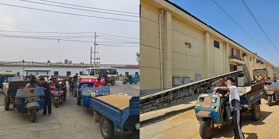 061749200247189270.jpg 圖片1.jpg