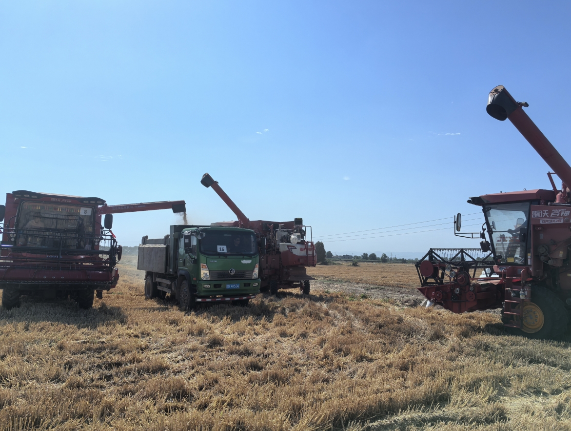 071749273736193461.png 偉隆.png