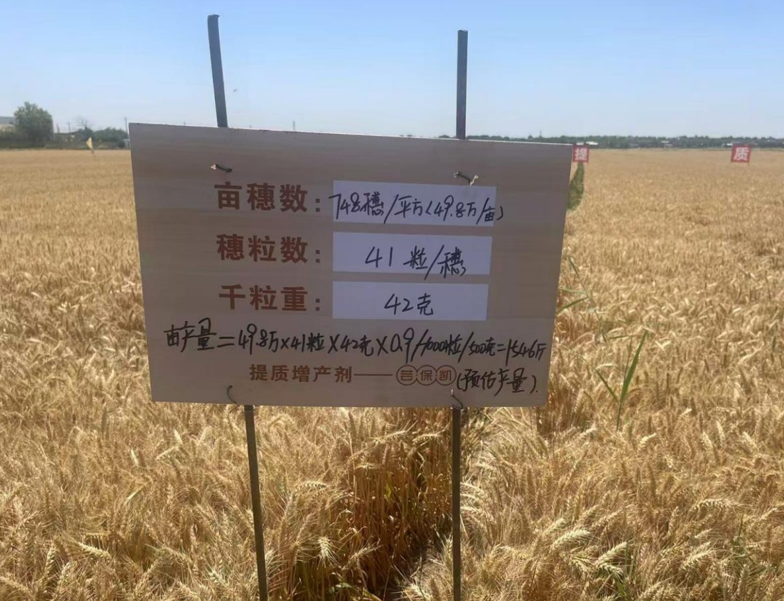 071749273750270033.png 偉隆2.png