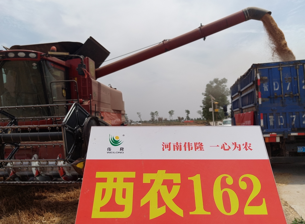 071749273799128135.png 111.png