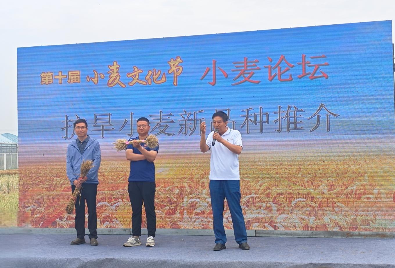 091749477500196175.png 微信截圖_20250609215757.png