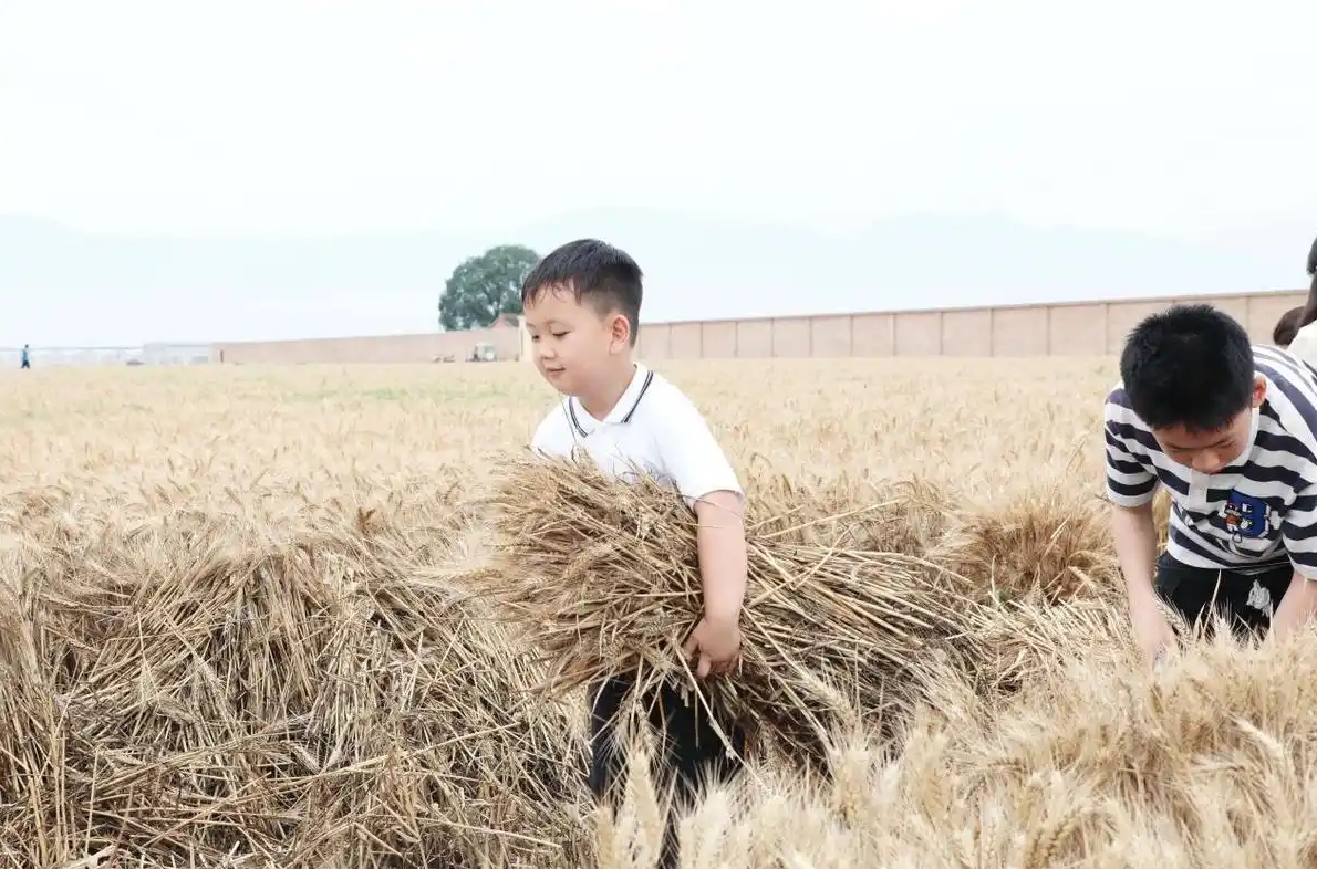 091749477515191991.png 微信截圖_20250609215811.png