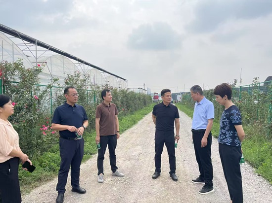 111752222399464953.jpg webwxgetmsgimg (1).jpg