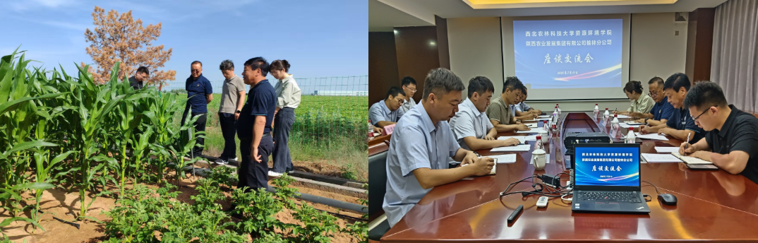 171752746198892915.png image.png