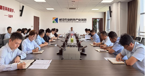 251758795629157947.png image.png